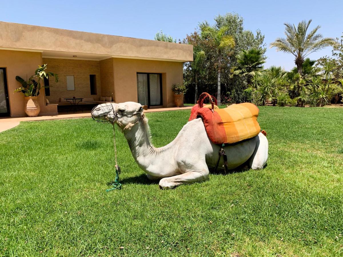 Marrakech Retreat Ξενοδοχείο Srarhna Εξωτερικό φωτογραφία
